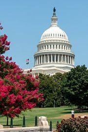 The Capitol in Washington by Studio Retouched fotoshop