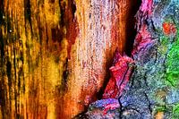 Colourful nature patterns