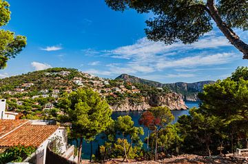 Paysage insulaire de Majorque, magnifique bord de mer de Port de Andratx sur Alex Winter