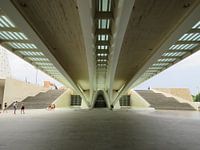Under the bridge 