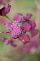 Automne subtil - Des couleurs élégantes pour un intérieur calme