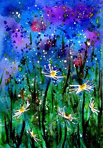 Daisy field at night