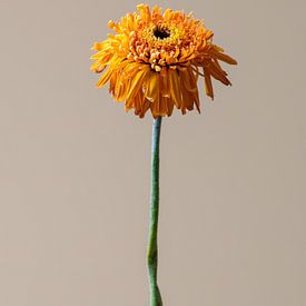 Withered Yellow Flower van michel meppelink