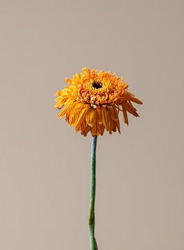 Withered Yellow Flower van michel meppelink
