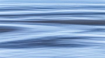 The Wadden Sea in motion