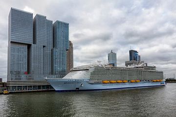 The Harmony of the Seas in Rotterdam by Richard Driessen