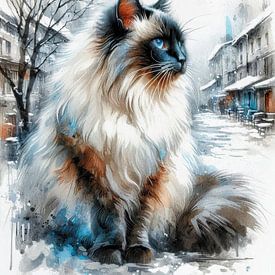 Chat tout doux dans la neige sur Jutta Maria Pusl