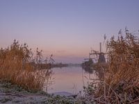 Vue sur les moulins à vent de Kinderdijk