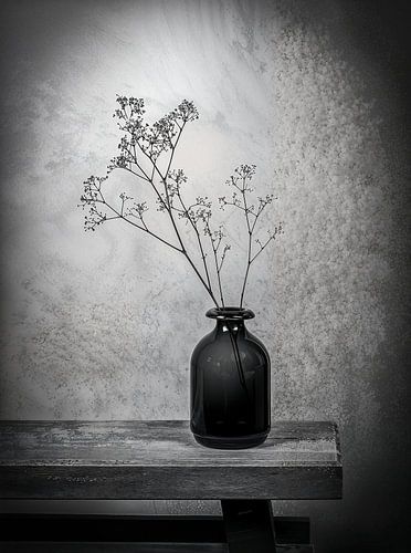 Stilleben Griffkraut in Vase in Schwarz-Weiß