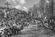 The Wall of Geraardsbergen by Leon van Bon thumbnail
