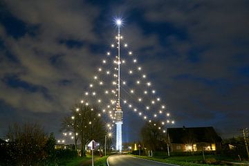 De grootste kerstboom ter wereld van Ad Jekel