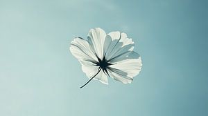 Unter dem blauen Himmel