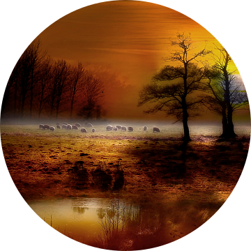 Schafe weiden auf einer Wiese im Sonnenuntergang van Peter Roder