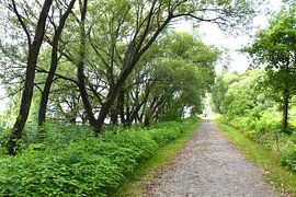 A path in the park in spring by Claude Laprise