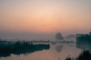 warmer, nebliger Morgen