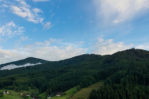 Luchtfoto van het Zwarte Woud Duitsland nabij Freiburg bij zonsopgang