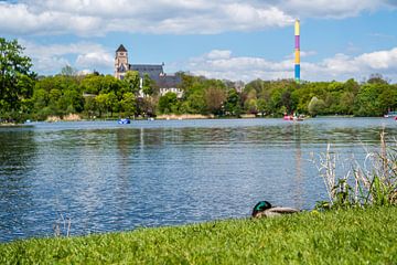 Castle Pond Park in Chemnitz by Animaflora PicsStock