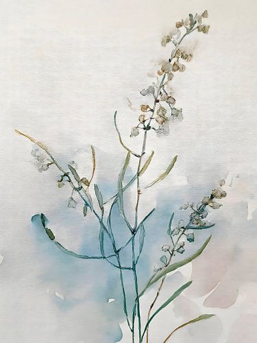 Heiteres Japandi-Stillleben: Trockenblumen in Aquarell. Serie: ZEN Art