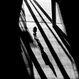 Shadows by Lieven Tomme