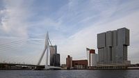 Rotterdam