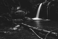 Minimalistische waterval achter gebroken boom in zwart-wit van Patrik Lovrin thumbnail