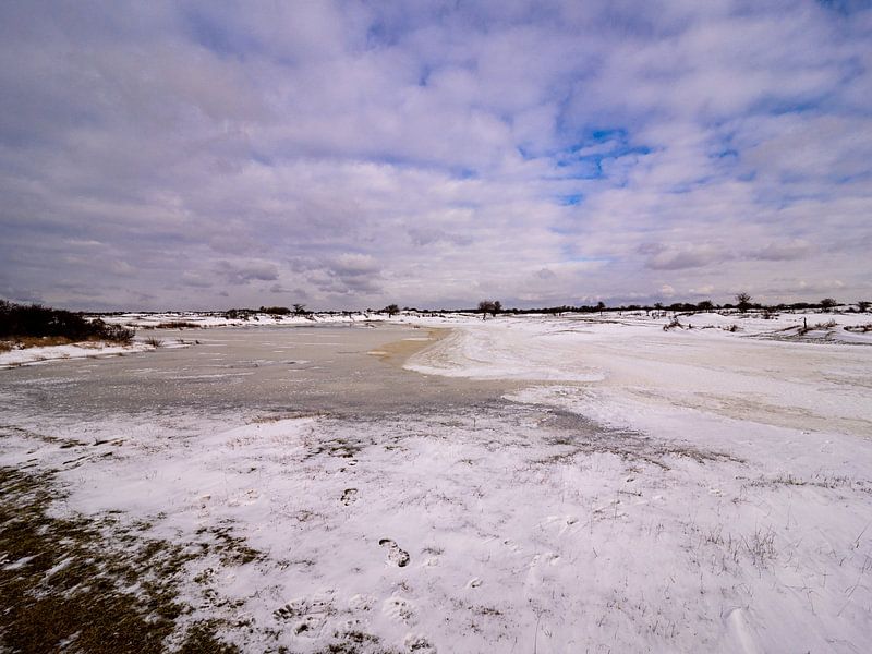 Winter in De Zilk von Dirk van der Plas