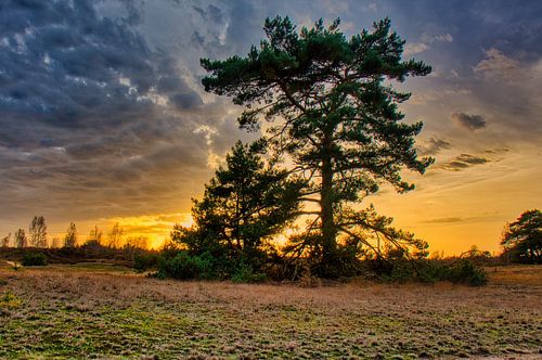 Zonsondergang met veel kleuren van Rick van de Kraats