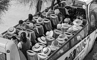 Hats on the bus