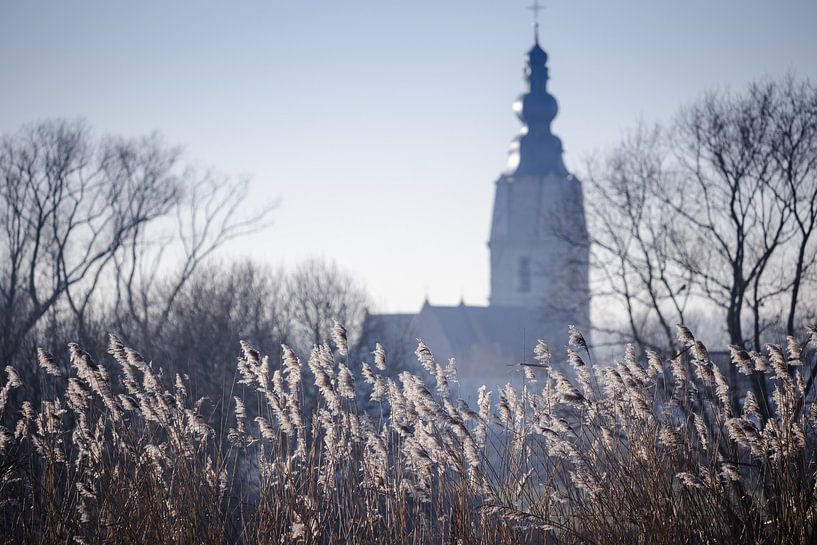 Winterlandschap Mespelare, Vlaanderen, België van Imladris Images