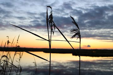 Stille zonsondergang in de polder. van M.D. Jonk-Kwantes