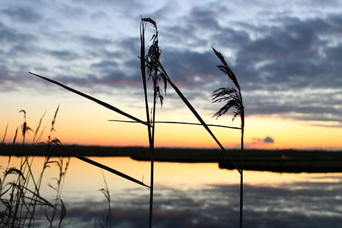 Stiller Sonnenuntergang im Polder.