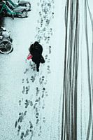 Een vogelvlucht na de sneeuwbui