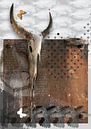 balans van Dray van Beeck thumbnail