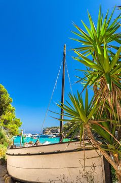 Idyllisch uitzicht op baai met boten en prachtig turquoise zeewater van Alex Winter