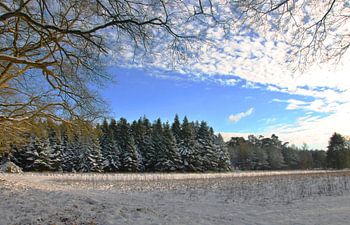 Winterlandschaft