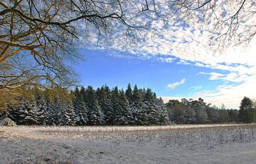 Winters landschap van M de Vos
