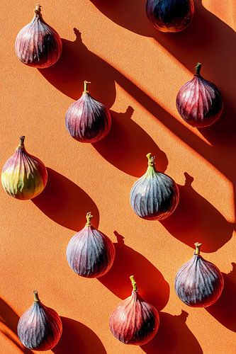 Figs in the Spotlights