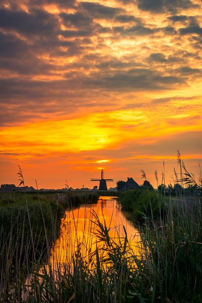 Berkmeermolen in der Glut von peterheinspictures