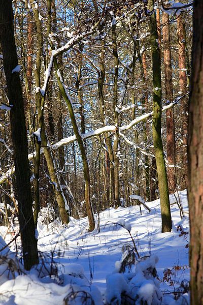 Wintertime by Thomas Jäger