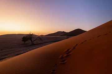 Magische zonsopgang bij Dune 45 | Nambië van Tine Depré