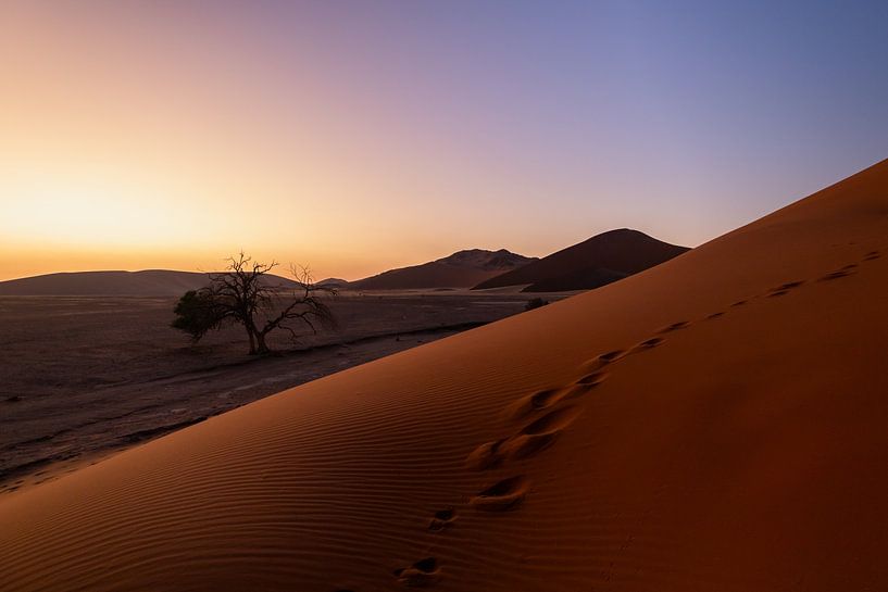 Magische zonsopgang bij Dune 45 | Nambië van Tine Depré