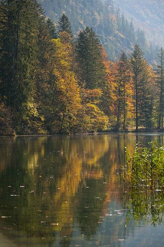 Autumnal atmosphere at Almsee