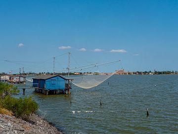 Vissen in de havenstad Comacchio Italië van Animaflora PicsStock