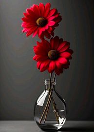 Blume von Sepvian Armanda