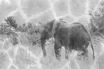Afrikaanse olifant in de wildernis zwart wit van Bobsphotography
