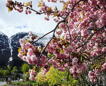 Noorse lente bloemen van Marije Mulder