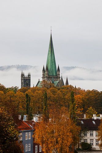 De Nidaros-domkerk van Trondheim omringd door herfstkleuren | Trondheim, Noorwegen