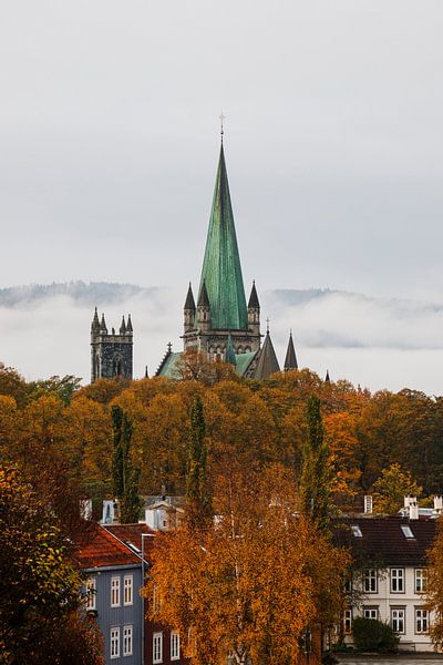 Trondheims Nidarosdom inmitten von Herbstfarben | Trondheim, Norwegen von Jules Captures - Photography by Julia Vermeulen