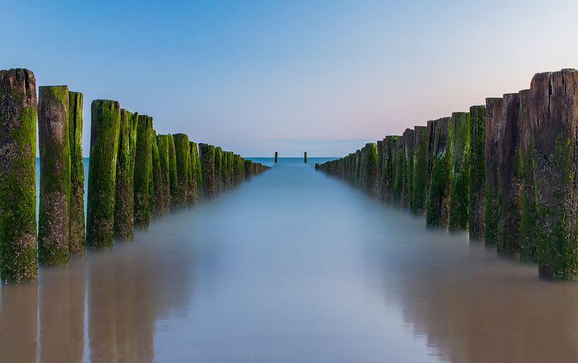 Breakwater by MSP Canvas