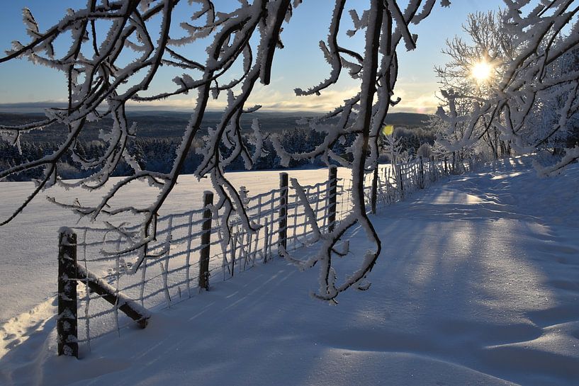 A snowy field after the storm by Claude Laprise
